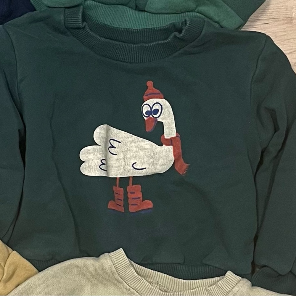 Charming Green Sweatshirt with Swan Graphic